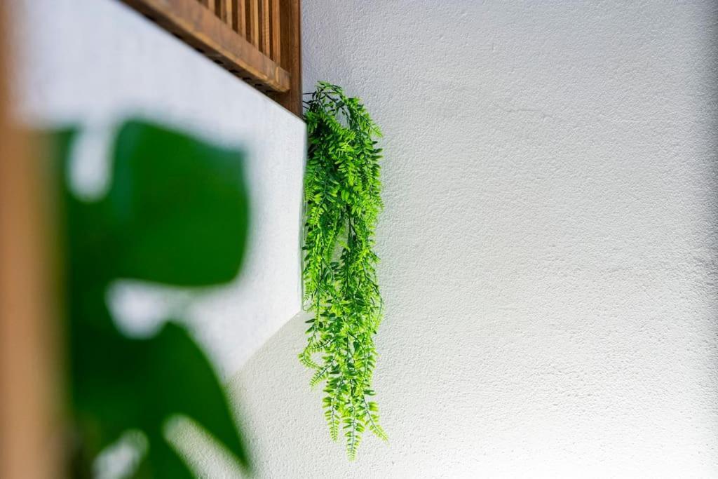 Apartment T2 Proche Place Aux Herbes *